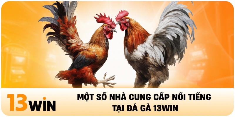 Một số nhà cung cấp nổi tiếng tại đá gà 13Win